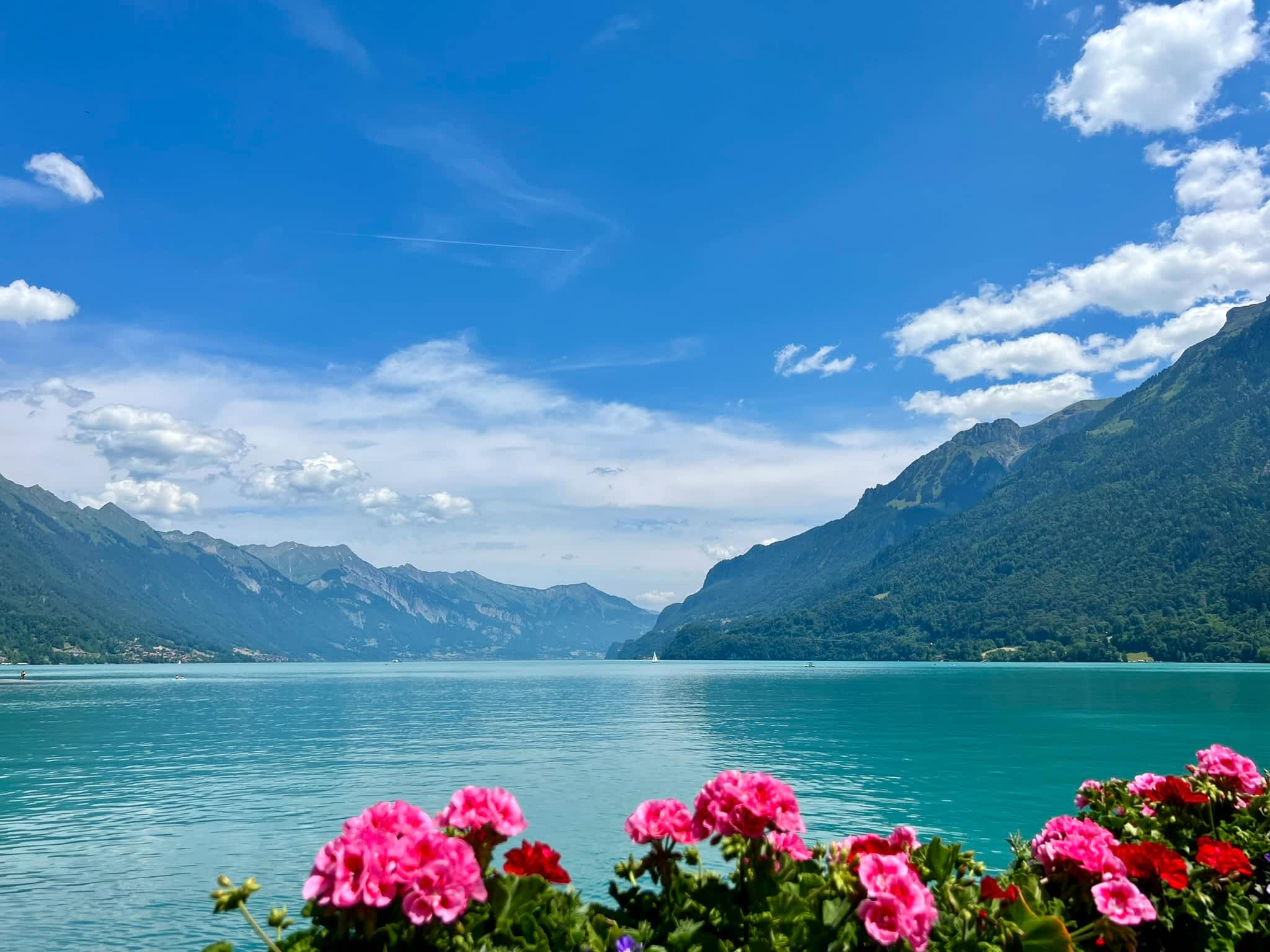Nature_Interlaken1